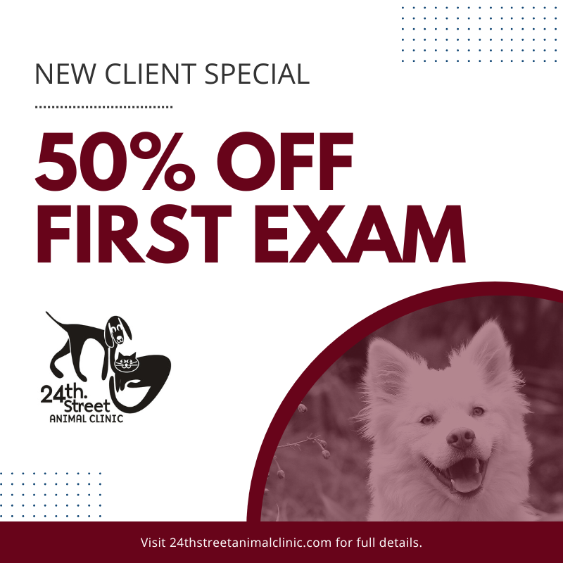 Promotions – 24th Street Animal Clinic Promotions – 24th Street Animal Clinic